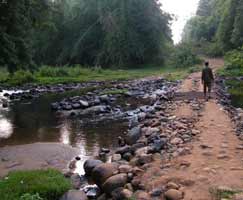 Mudumalai Honeymoon Tour