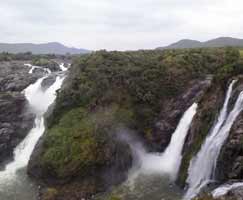 Tour Package Mudumalai