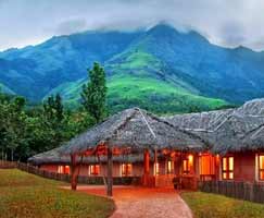 Tour Package In Mudumalai