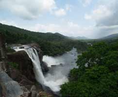 Holiday Package Mudumalai